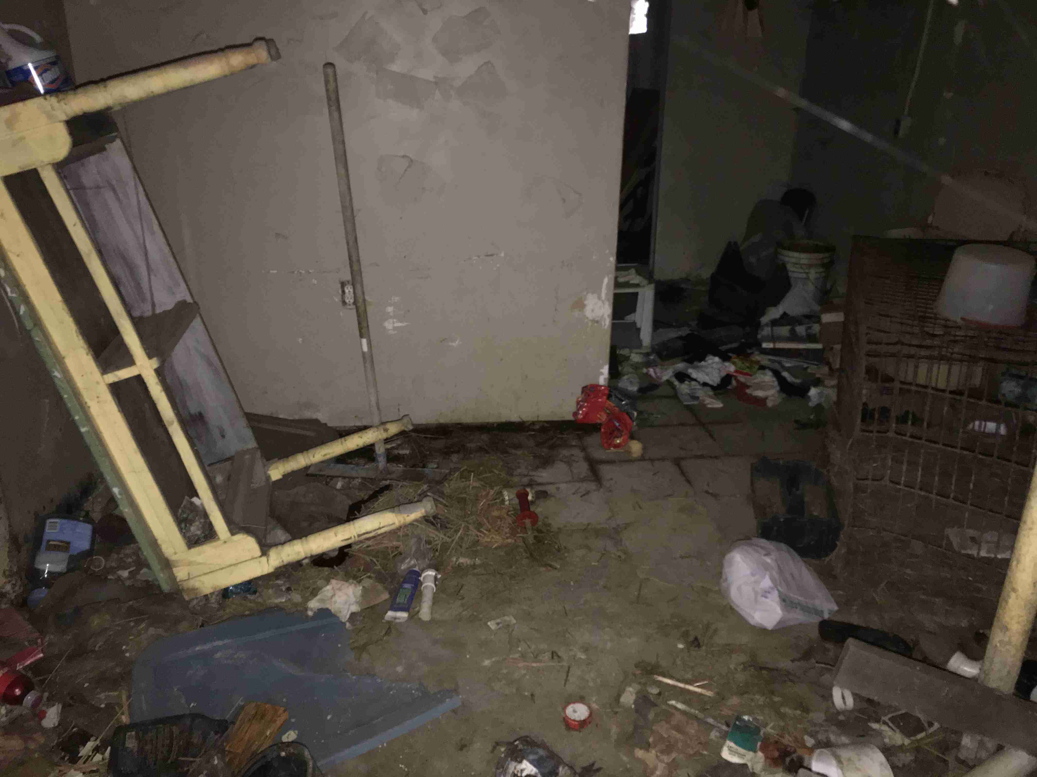 Photo Oct 13, 12 37 14 PM.jpg